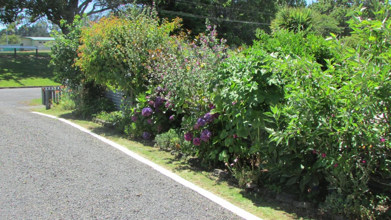 Cozy Haven - Waihi公寓 外观 照片