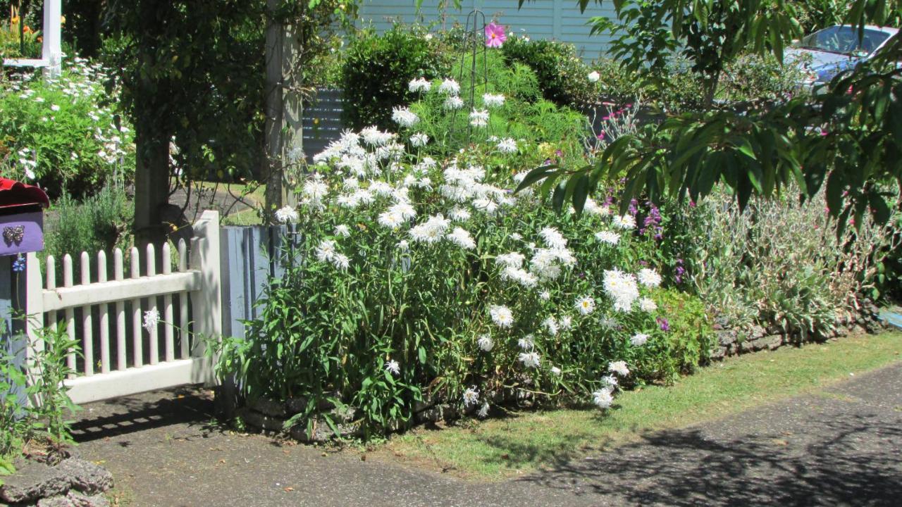 Cozy Haven - Waihi公寓 外观 照片