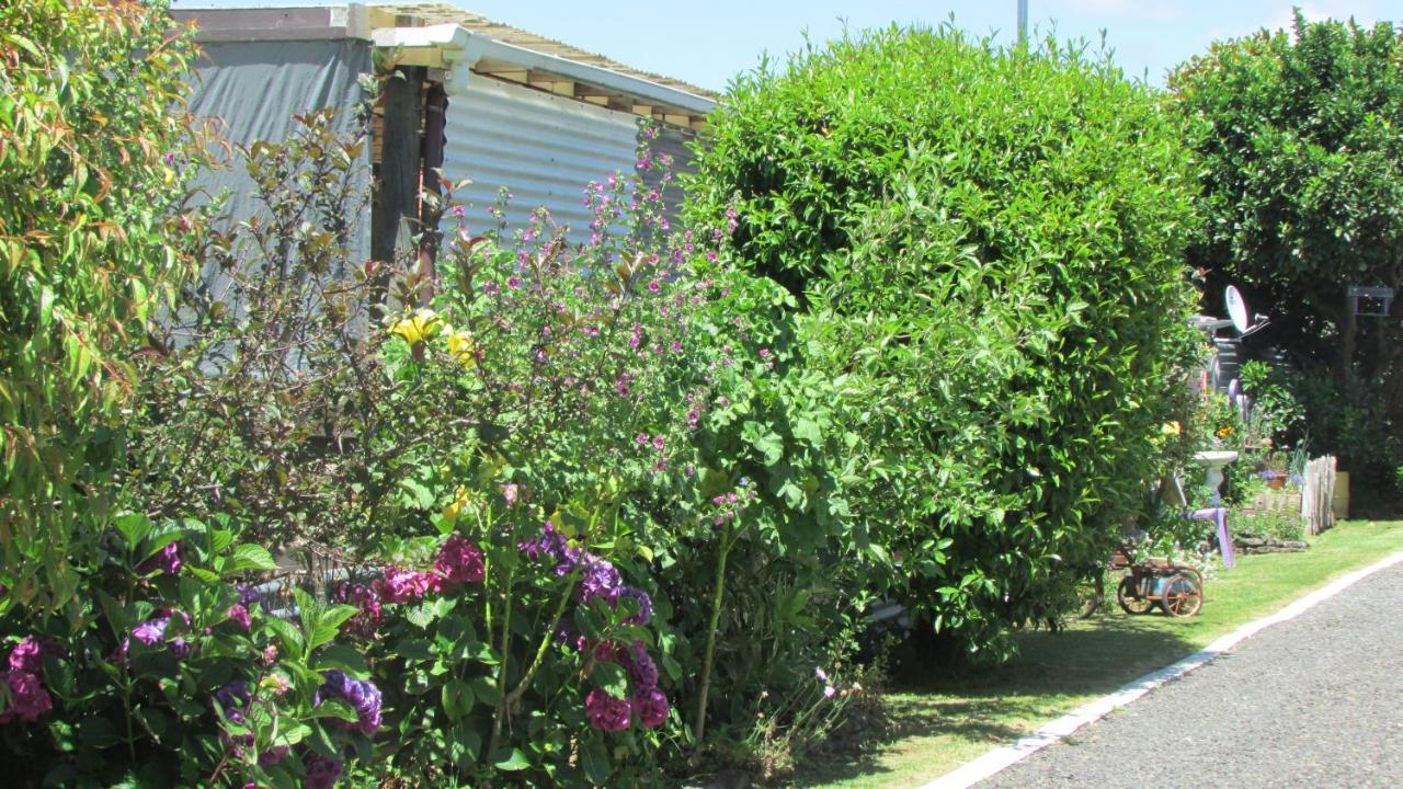 Cozy Haven - Waihi公寓 外观 照片